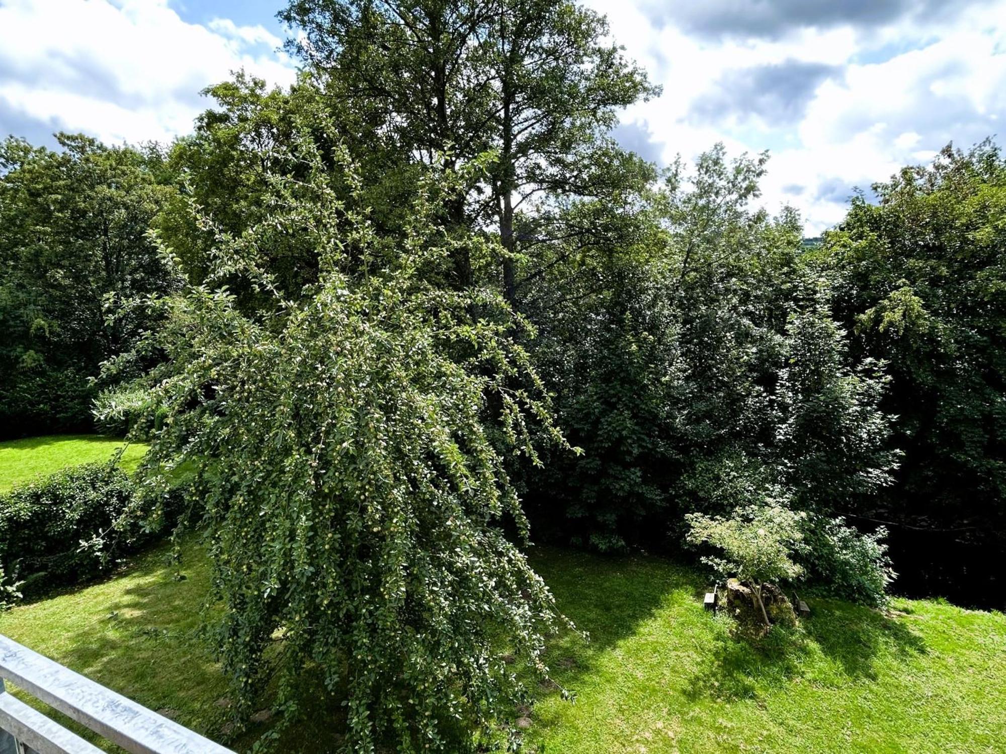 Ferienwohnung Sauerland An Der Ruhr Olsberg Esterno foto