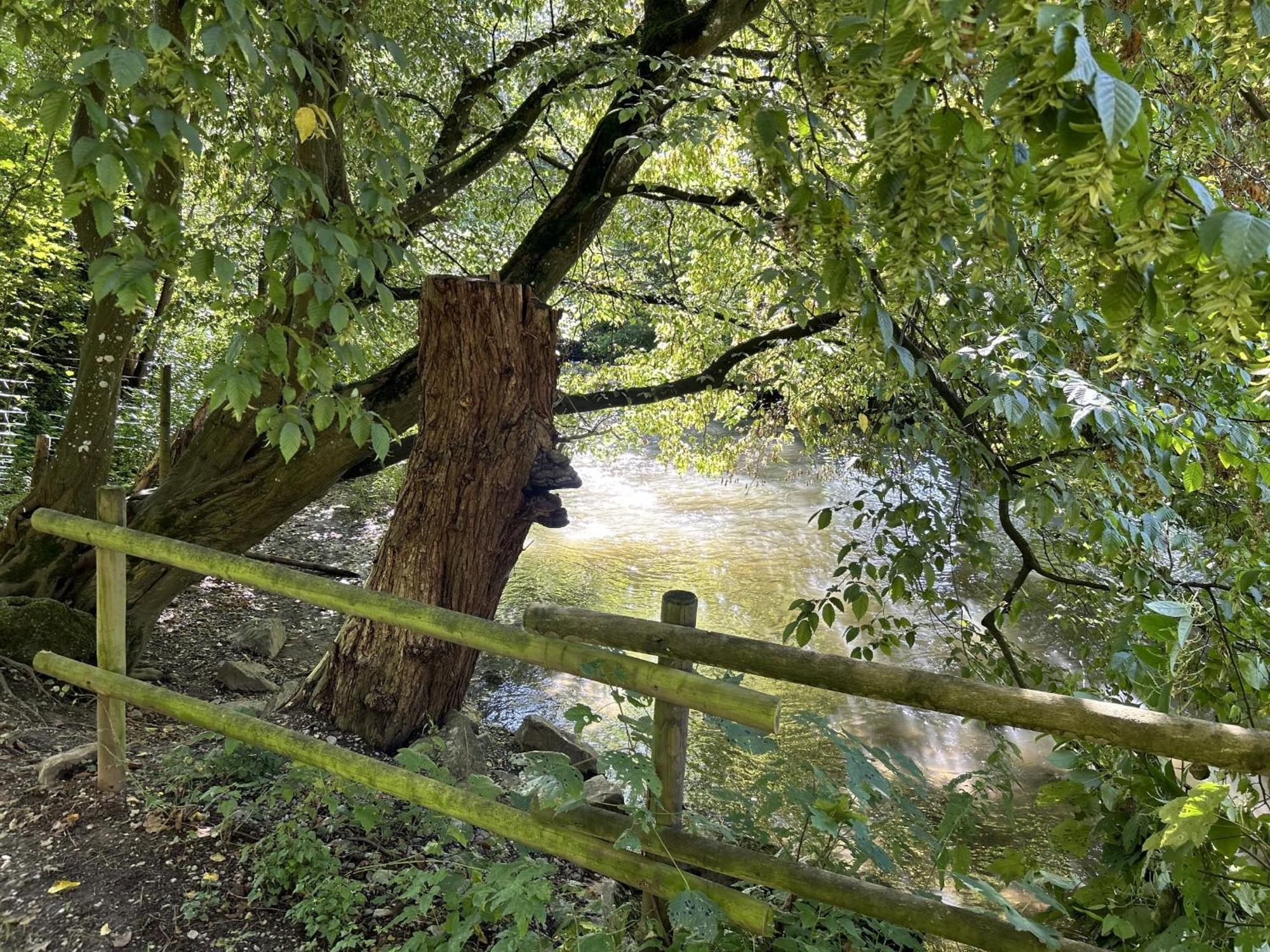 Ferienwohnung Sauerland An Der Ruhr Olsberg Esterno foto
