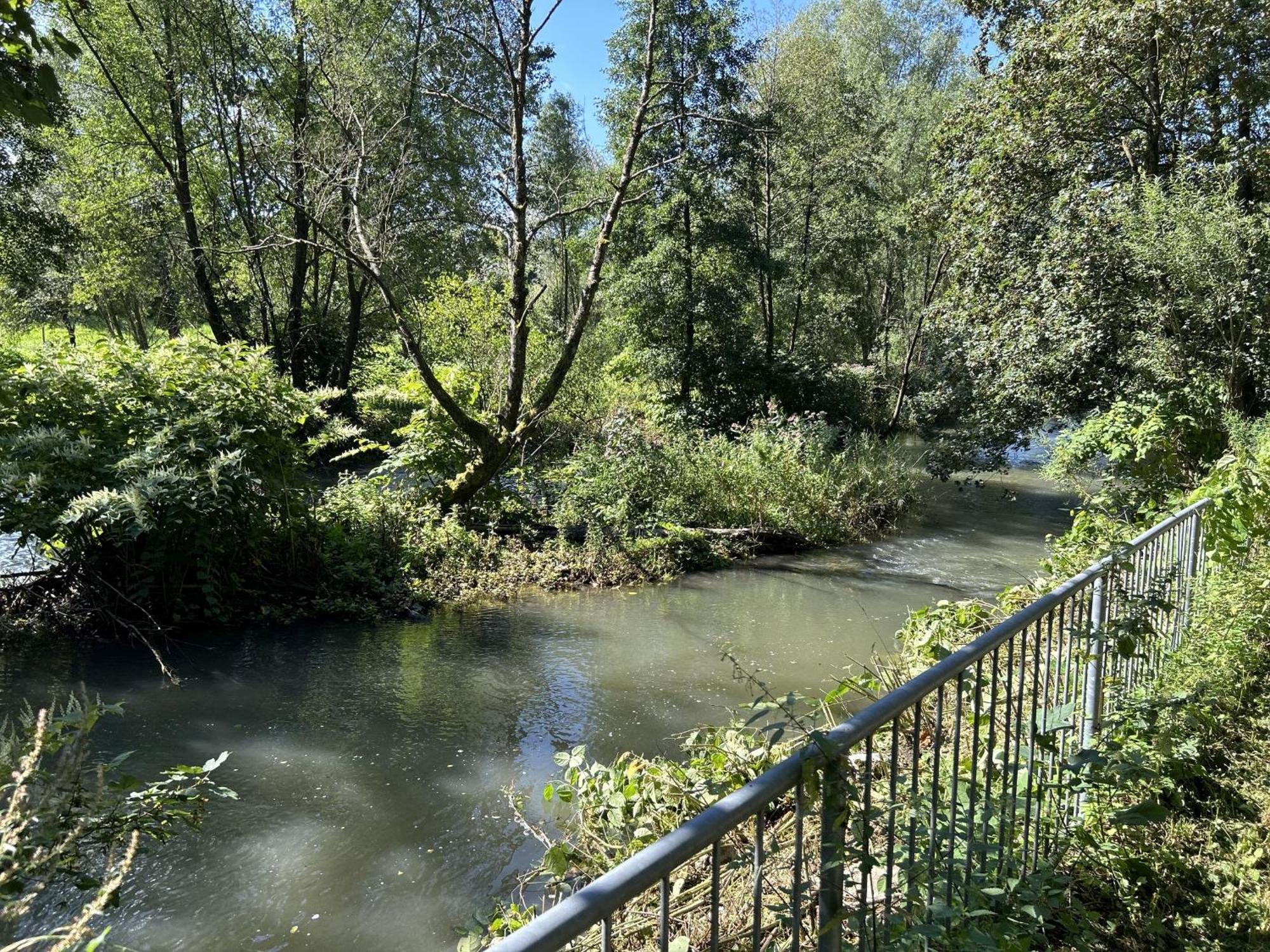 Ferienwohnung Sauerland An Der Ruhr Olsberg Esterno foto