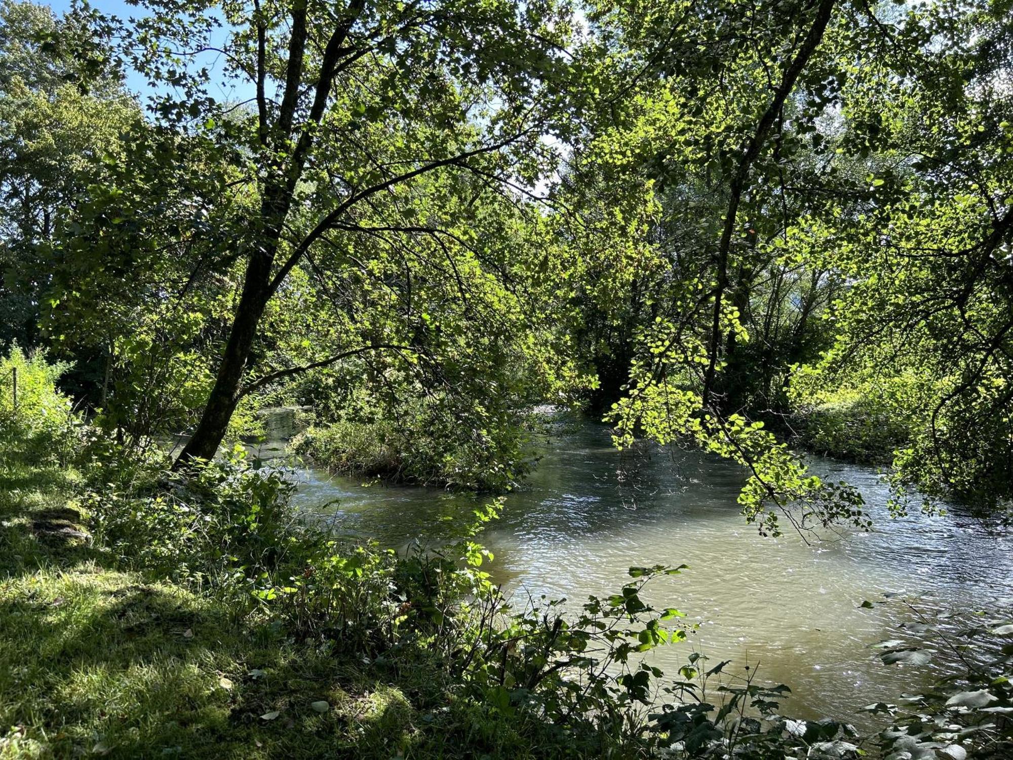 Ferienwohnung Sauerland An Der Ruhr Olsberg Esterno foto